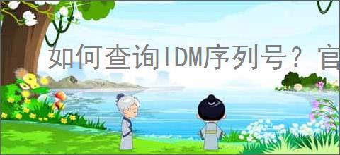 如何查询IDM序列号?官方验证及常见问题解答