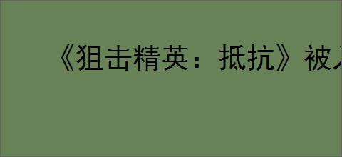 《狙击精英:抵抗》被入侵时的提示介绍