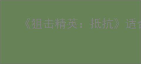 《狙击精英：抵抗》适合补偿子弹下坠的武器介绍