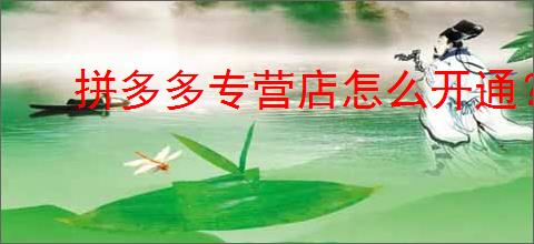 拼多多专营店怎么开通？开通个人店铺还是企业运营？