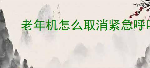 老年机怎么取消紧急呼叫模式