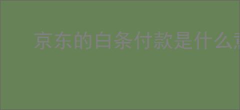 京东的白条付款是什么意思?白条付款的优势与体验