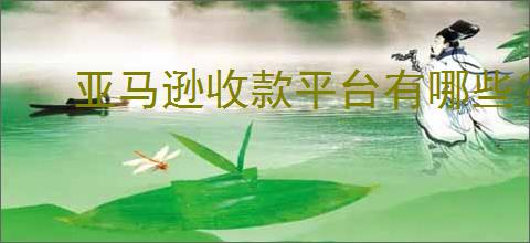 亚马逊收款平台有哪些？亚马逊跨境电商卖家<div class=