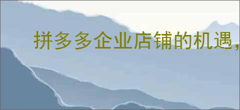 拼多多企业店铺的机遇，拼多多企业店铺的特点是什么？
