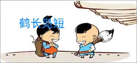 鹤长凫短