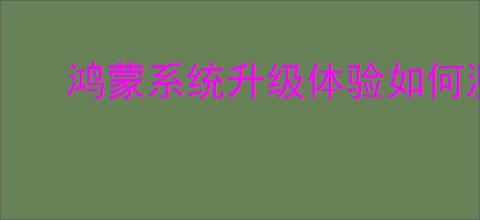 鸿蒙系统升级体验如何测评