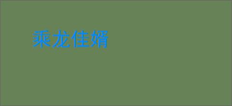 乘龙佳婿
