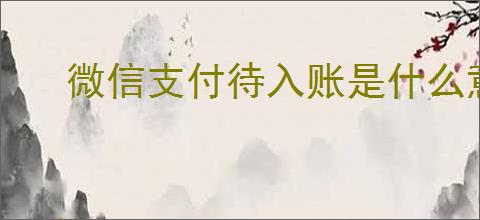 微信支付待入账是什么意思