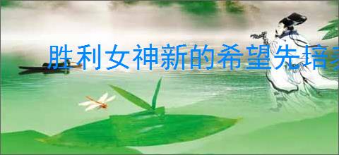 胜利女神新的希望先培养角色好,胜利女神新的希望角色培养优先级