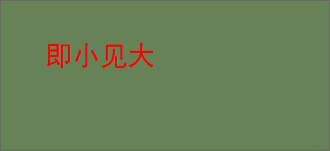 即小见大