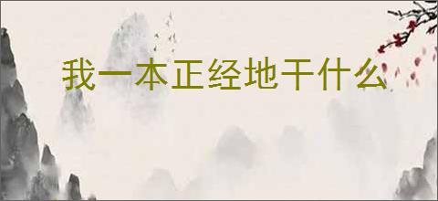 我一本正经地干什么