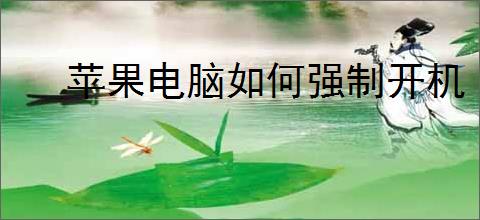 苹果电脑如何强制开机