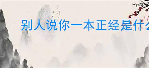 别人说你一本正经是什么意思