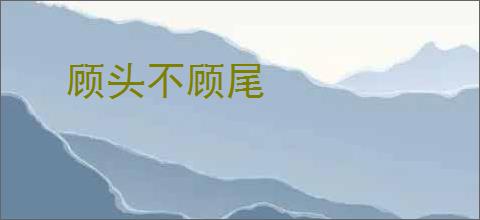 顾头不顾尾