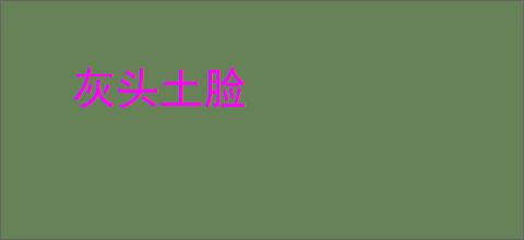 灰头土脸