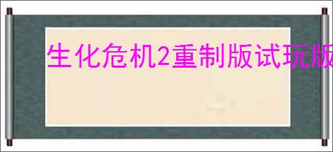 生化危机2重制版试玩版参数错误是咋回事