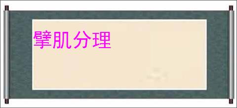 擘肌分理