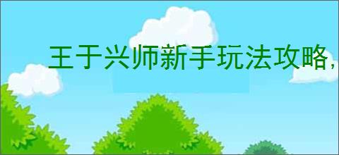 王于兴师新手玩法攻略,王于兴师玩法特色分享