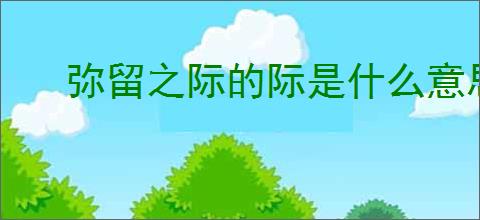 弥留之际的际是什么意思