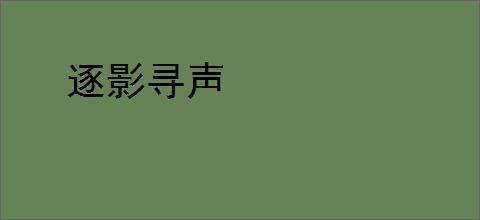 逐影寻声