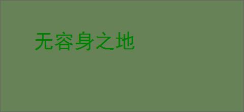 无容身之地