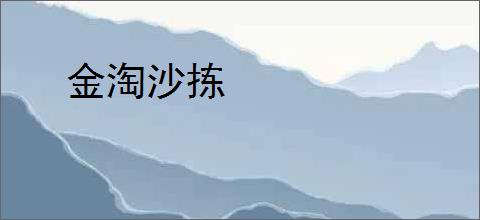 金淘沙拣