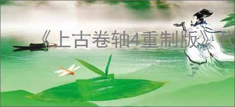 《上古卷轴4重制版》代码一览