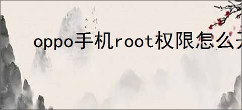 oppo手机root权限怎么开