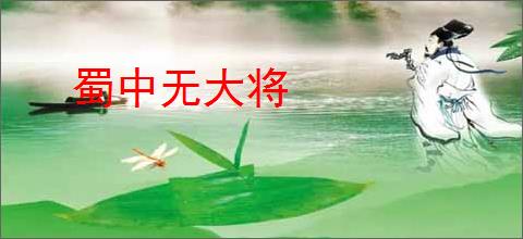 蜀中无大将
