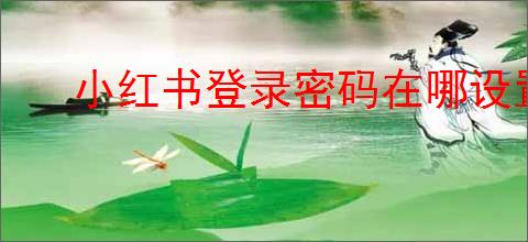 小红书登录密码在哪设置