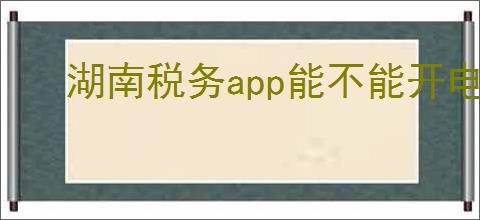 湖南税务app能不能开电子发票