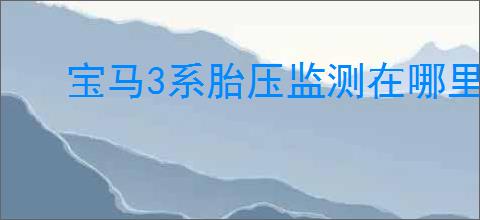 宝马3系胎压监测在哪里