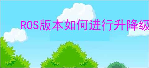 ROS版本如何进行升降级设置