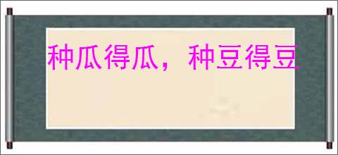 种瓜得瓜，种豆得豆