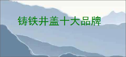 铸铁井盖十大品牌