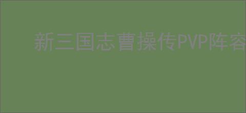 新三国志曹操传PVP阵容推荐,新三国志曹操传PVP竞技阵容攻略