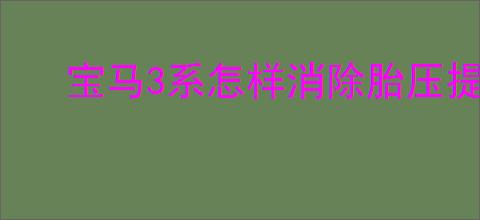 宝马3系怎样消除胎压提示