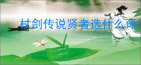 杖剑传说贤者选什么命运果实好,杖剑传说贤者命运果实推荐