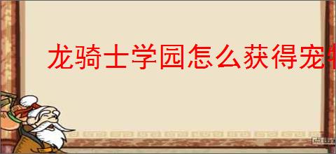 龙骑士学园怎么获得宠物,龙骑士学园宠物获取途径汇总