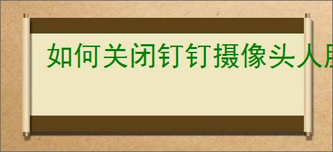 如何关闭钉钉摄像头人脸追踪