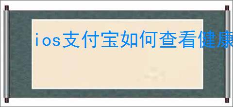 ios支付宝如何查看健康码URL代码