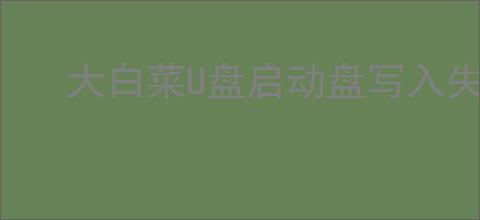 大白菜U盘启动盘写入失败原因