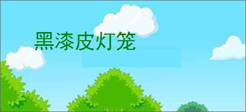 黑漆皮灯笼
