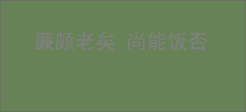 廉颇老矣 尚能饭否