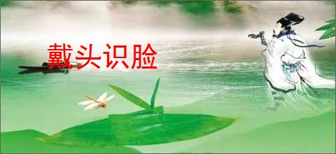 戴头识脸