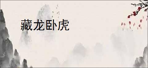 藏龙卧虎