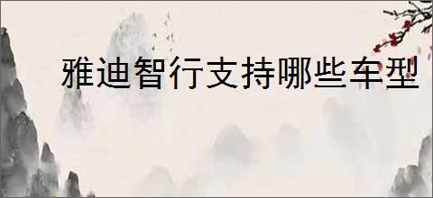 雅迪智行支持哪些车型