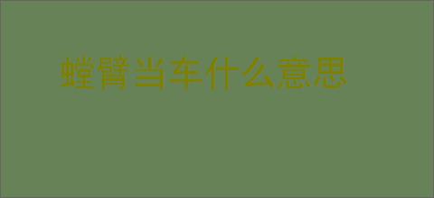 螳臂当车什么意思