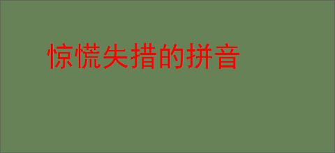 惊慌失措的拼音