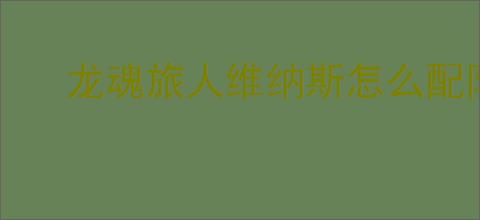 龙魂旅人维纳斯怎么配队,龙魂旅人维纳斯阵容搭配推荐